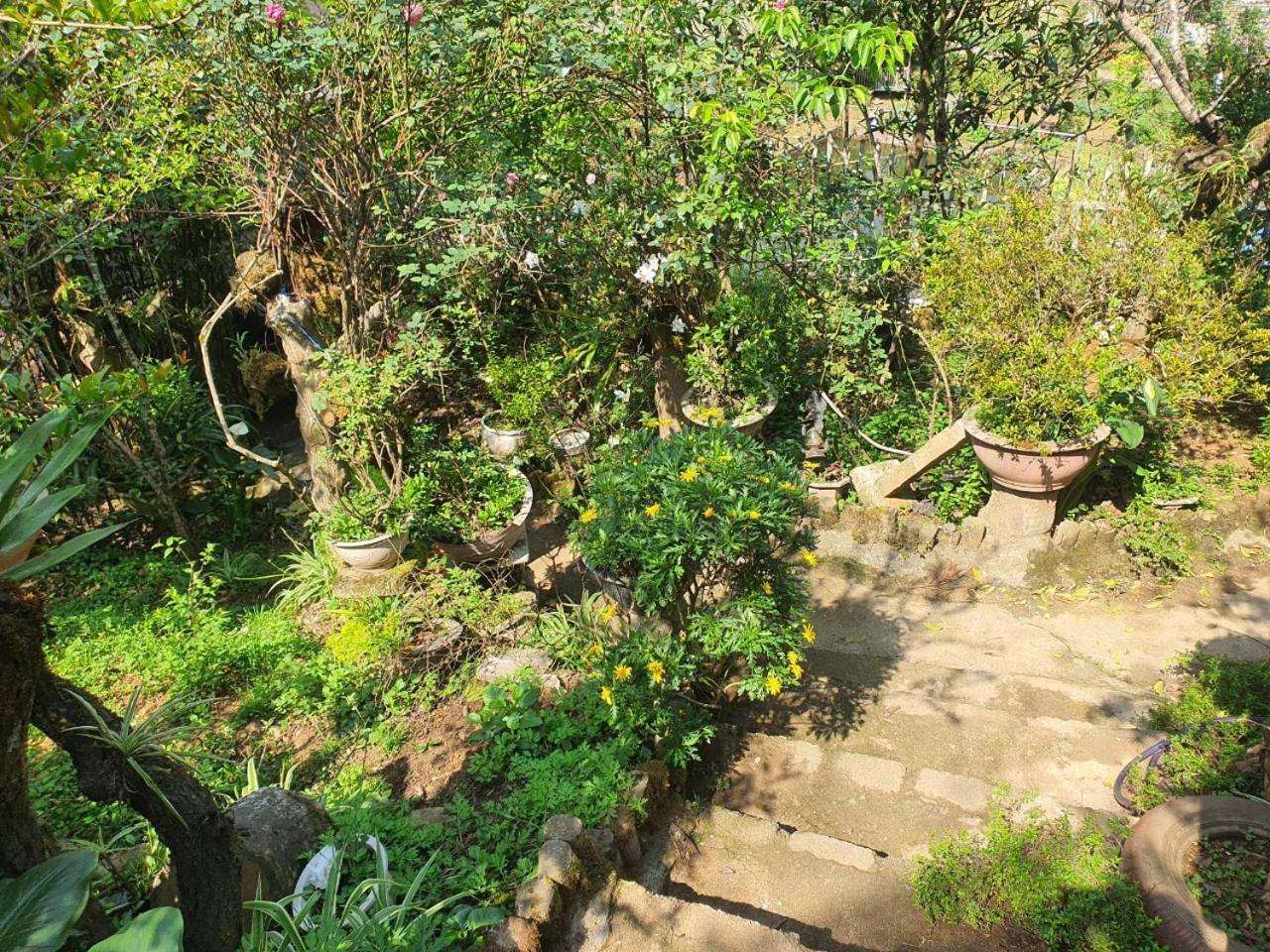 Sapa Garden Bungalow エクステリア 写真